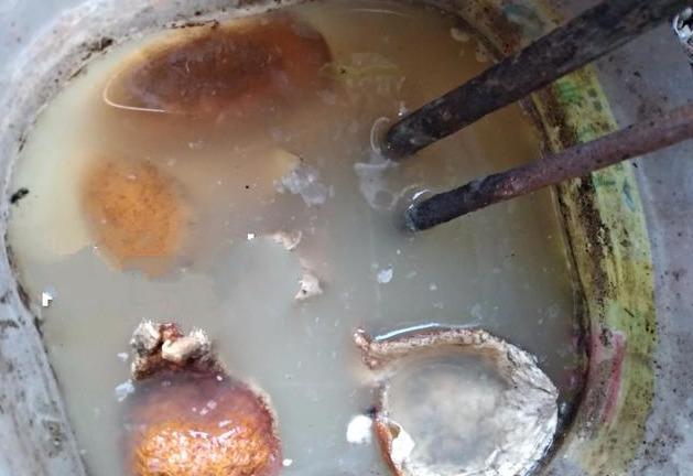 此种“液体肥”，养花实惠又好用，自己制作，养花特别棒！