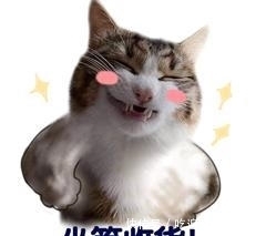 打扰了打扰|有些人表面上看起来优雅淡定,背地里一天要看几次快递物流!