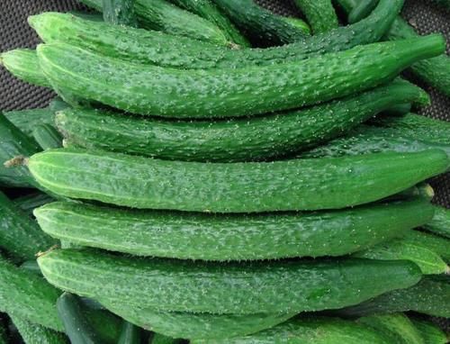 买黄瓜时,直的好还是弯的好?教你3个小技巧,黄瓜鲜嫩又好吃!