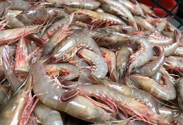 贝类|含“寄生虫”最多的2种海鲜，没营养还贵，商家宁愿丢掉也不吃