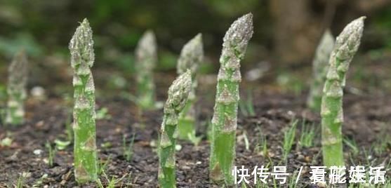 酒精肝|經常喝酒的人，要記住“3不，3吃”，幫你遠離“酒精肝”！