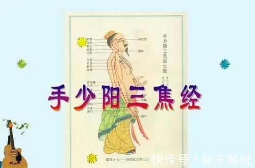 难经|搞懂了人体的“三焦”,所有疑难杂症,都可迎刃而解,建议收藏!