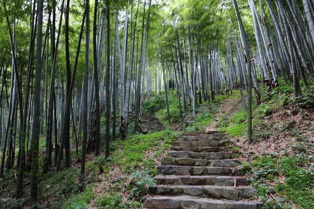 余杭|正是登高好时机！余杭这几座山峰，你最想“征服”谁？