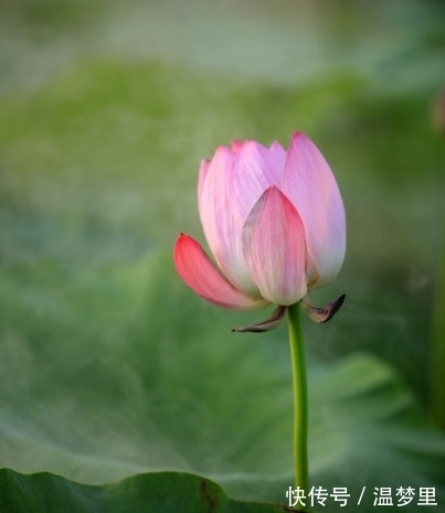 属相|进入10月，鸿运当头，4属相桃花朵朵，财运亨通，生活越来越精彩