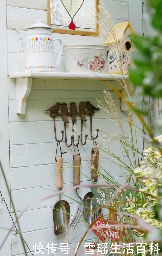 保姆级教程|冬季院子清园的石硫合剂使用方法