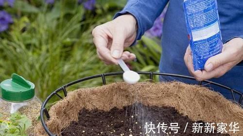 光照|专业养花人:练成这几招,杀手也能秒变“大神”