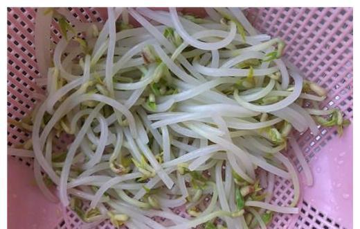 爽口|此菜2块钱买一包,拌一下就吃,酸辣爽口,全家都爱吃!超下饭