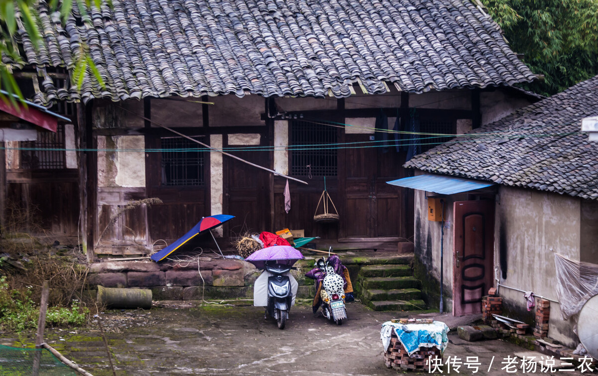 土地法|农村子女有福了!明年起,农村老家的房子全部实行“地随房走”!