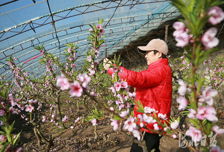 河北省！河北：元旦假期欢乐多