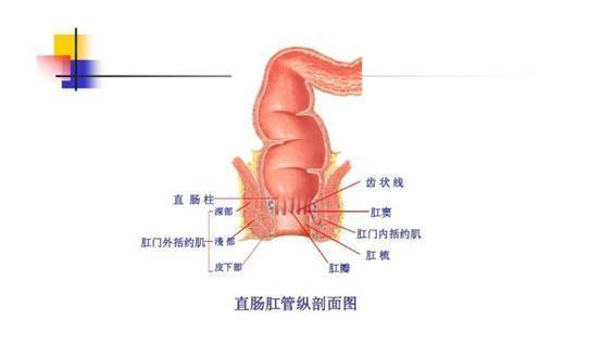 慢性便秘|大便干燥，排便困难，慢性便秘怎么把办？医生：不“吃药”也能好