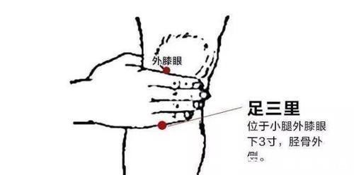 邓老|国医大师邓铁涛:我的作息时间表里,藏着你想知道的养生秘密!