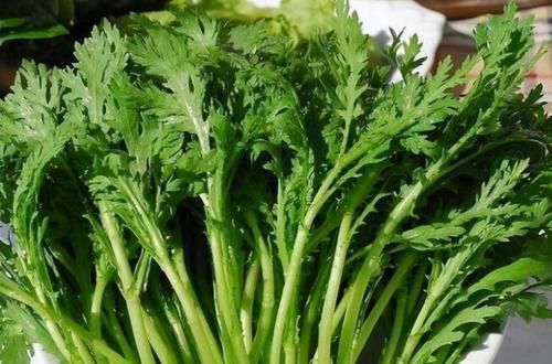 身体|女性不愿老太快，可以多吃3种食物，滋补身体，谁吃谁受益