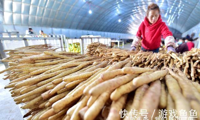 带脉|你的脾好不好?这5个特征告诉你问题出在哪里