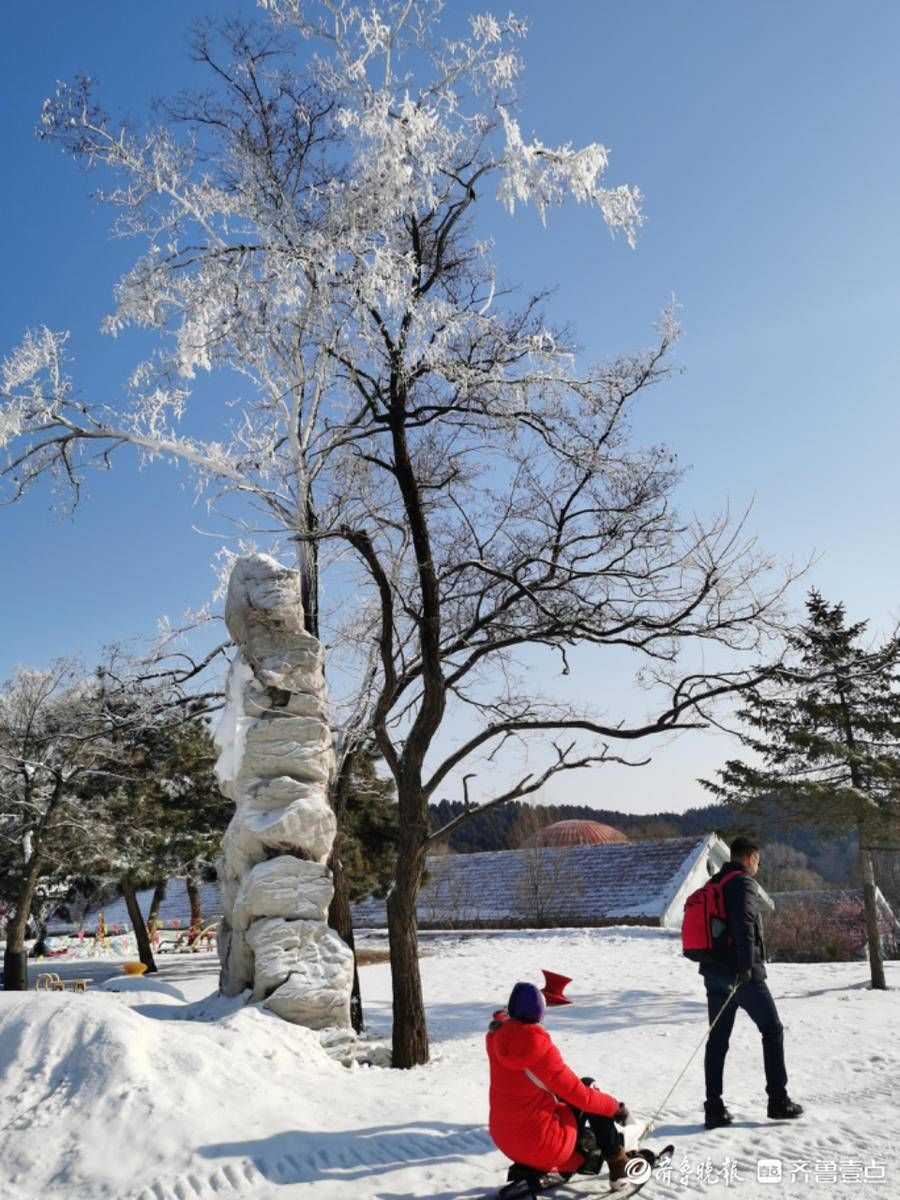 跑马岭|虎啸春来丨春节期间，来跑马岭感受沉浸式冰雪乐园