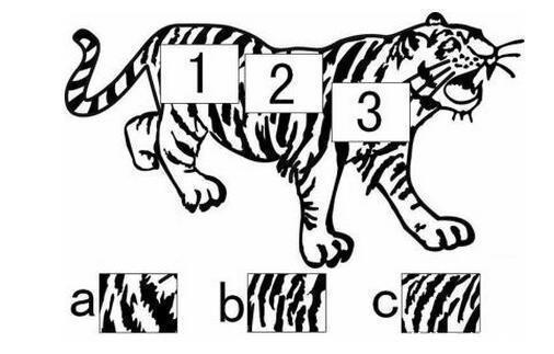 老年痴呆测试图:别花时间想,看看你能花几秒找出图中的女人?