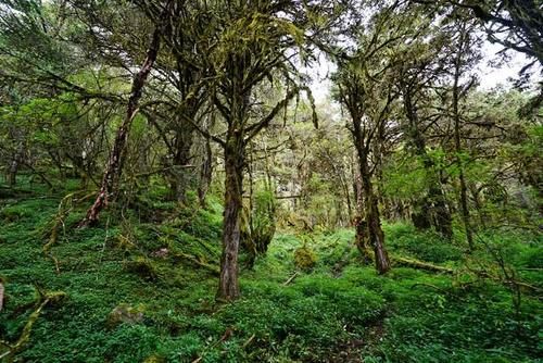 西藏适合自驾的3个边境县，风景原始民风淳朴，关键是没有门票