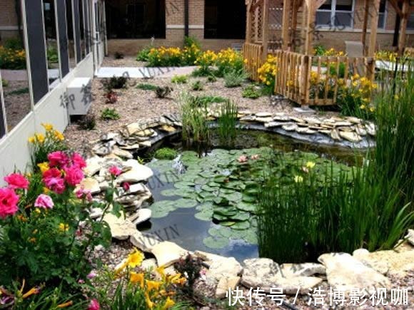 丽江发现一户人家院子，那叫一惊艳！太美了，拍照给大家看看