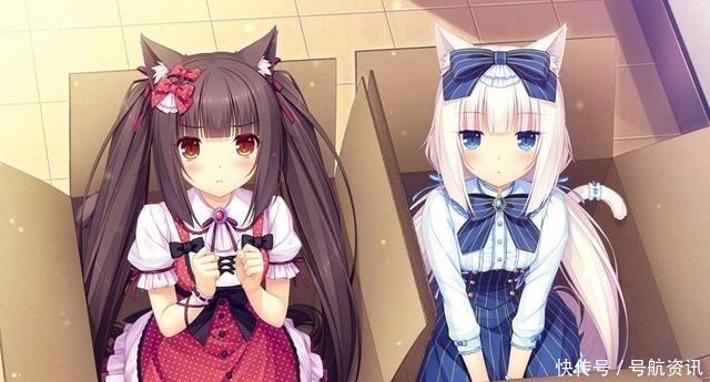 猫咪|想让猫咪变成人变是不可能的,但画师可以将其画出来!