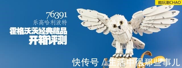 羽毛|乐高哈利波特76391霍格沃茨经典藏品开箱评测!