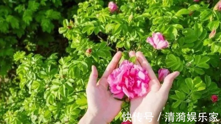 绝经|女性绝经期来临,会出现4个异常,保养身体,坚持“四多三少”