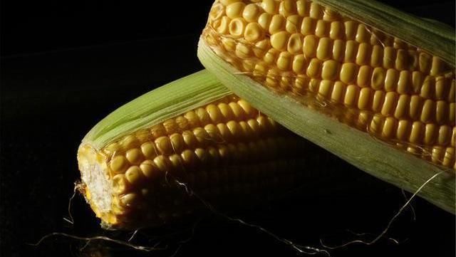 鸡胸肉|女生“152-176cm标准体重”是多少?若你符合,真令人羡慕