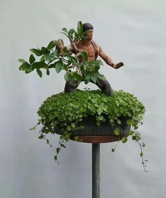 盆景玩成这样，真无语……