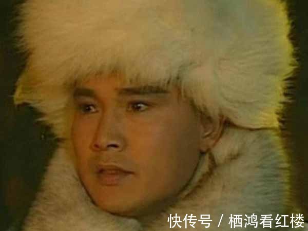 杀父真凶&胡斐为什么放着杀父真凶阎基不管,却追得凤天南满世界跑?