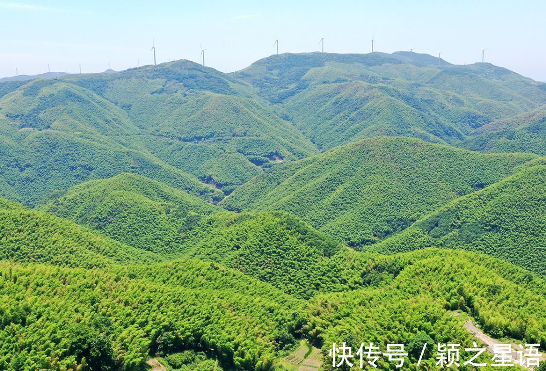 粉黛|宁波最大的粉黛花海，又到绚烂时，游客蜂拥而至