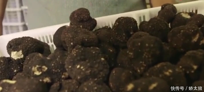 山里這種藥材形似“泥巴”,農(nóng)村人見了不理睬,外面一斤5百元