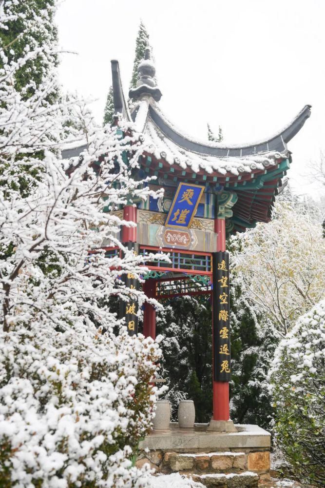 景区|惊艳！龙口南山景区迎初雪，这画面太美......