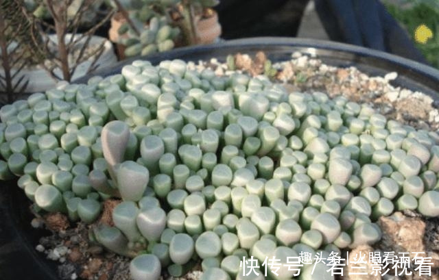 非洲遍地是“宝石”,却无人去捡,当地人:笑而不语