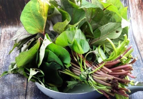 加上一些|藏在身边的“长寿菜”,2块钱一斤,上锅蒸一蒸,比猪肉还好吃