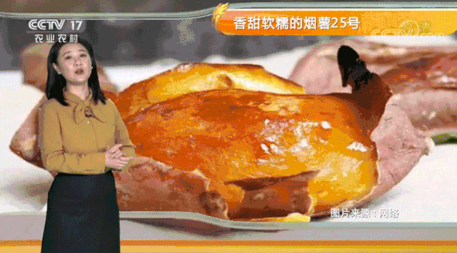 老年人科学的饮食搭配，有益于推迟衰老，健康长寿