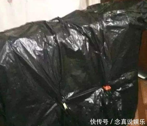 琼花不能“惯着来”,一个“小动作”,花苞成团冒,花朵变成球