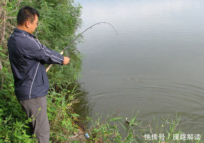 浮漂|野钓河里鱼真多,就是不吃饵,有些情况就是钓鱼人自己造成的