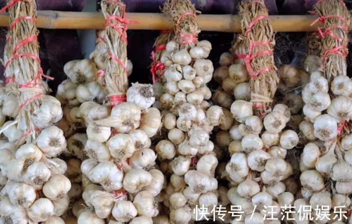 我才知道，保存大蒜如此简单，放1年不发芽不坏，不知道就亏了
