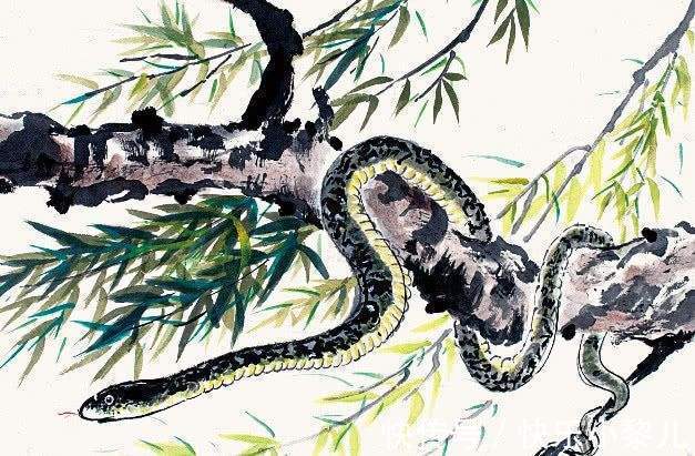 小年前|小年前后,财运如彩虹,3生肖霉运消散,有贵人指路,美梦全实现