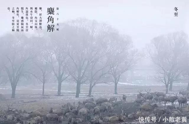 美好|【今日冬至】愿所有的美好都如期而至