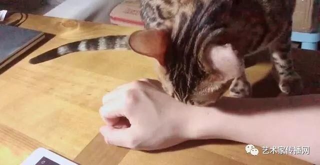  清华|清华男神闭关45天后晒出他的画作，惊艳世人