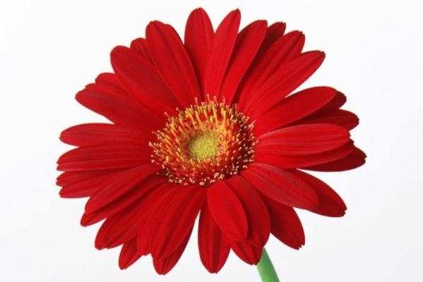 气话|俗话说病从口入祸从口出,尤其是这4句话,说了祸事不断!