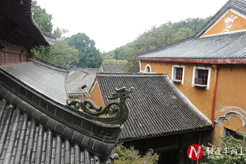 浙江深山发现一古寺，门票5元吃饭2元，被网友好评点赞