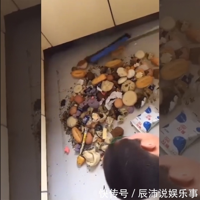 早餐|妈妈发现了一个不爱吃早饭的“熊孩子”,真想不到,藏得也太深了