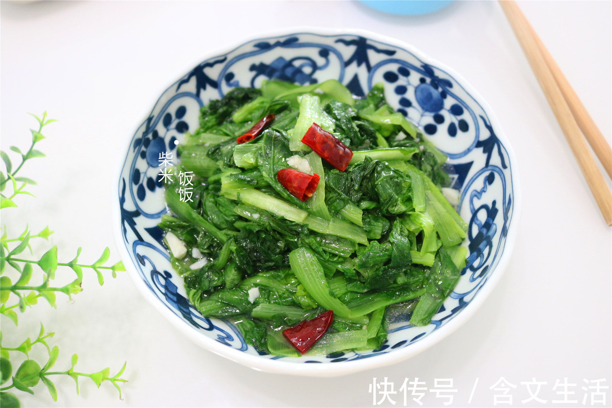 小白菜|晚餐不知吃什么，试试这6道菜，简单好做懒人菜，都好吃