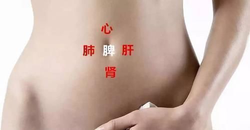 肚脐|你的五脏是否健康,不用去医院检查,按按肚脐就知道,早按早受益