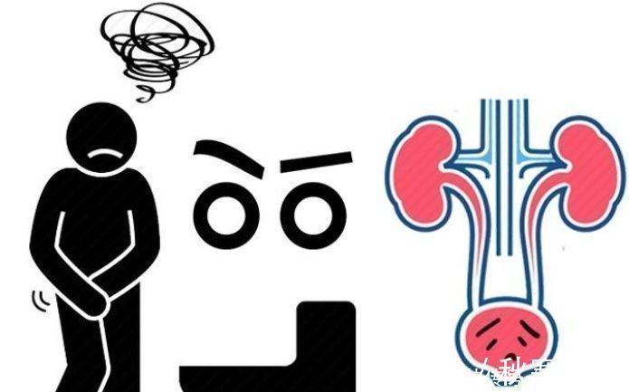 红绿植|乡下路边的这种野菜熬水可以治4种病!但是现在认识的人不多