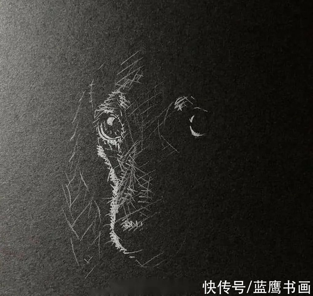  黑色|用白色铅笔在黑纸上画画，李羿慧寥寥几笔，却让人感到妙趣横生
