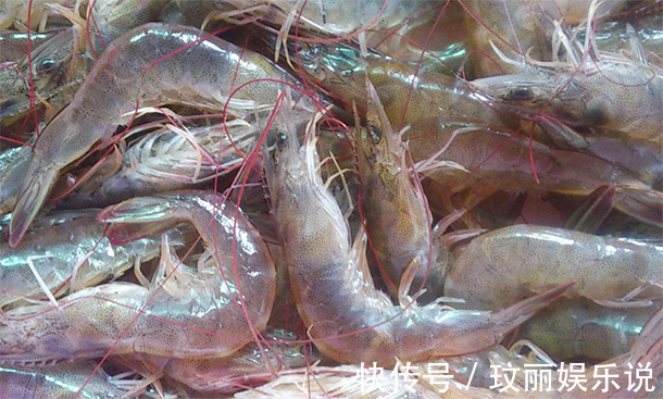 补肾|男人多吃四种“肾黄金”,比吃枸杞厉害,50岁后依旧“肾强腰壮”