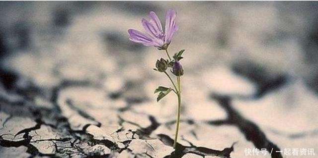 做人牢记无论到了什么年纪,守住6条底线