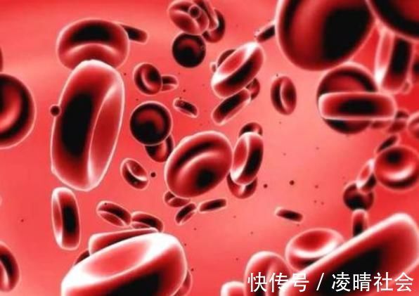 营养物质|此3种食物是血管“清道夫”,稳血压净血液调血脂,血栓不再扰