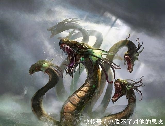 海贼王 黑炭大蛇浪费八岐大蛇果实,八命已去七坐实幻兽种之耻!